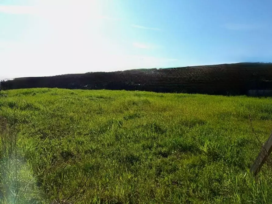 Immagine 2 di Terreno residenziale in vendita  a San Giuliano Terme