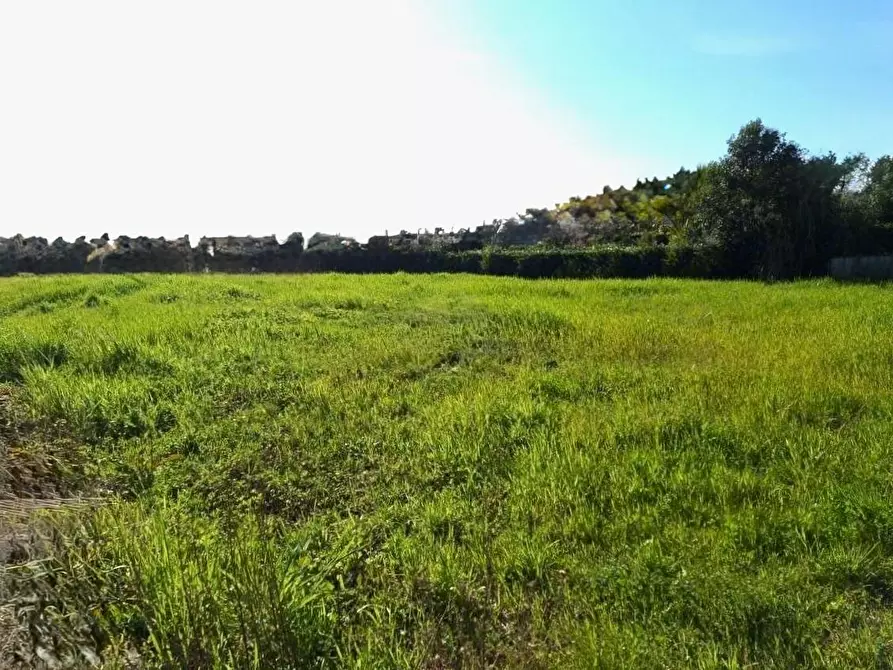 Immagine 12 di Terreno residenziale in vendita  a San Giuliano Terme