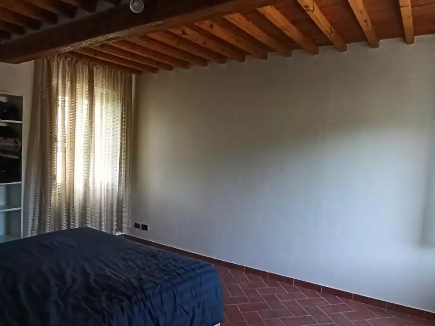Immagine 19 di Terratetto in affitto  a Capannori