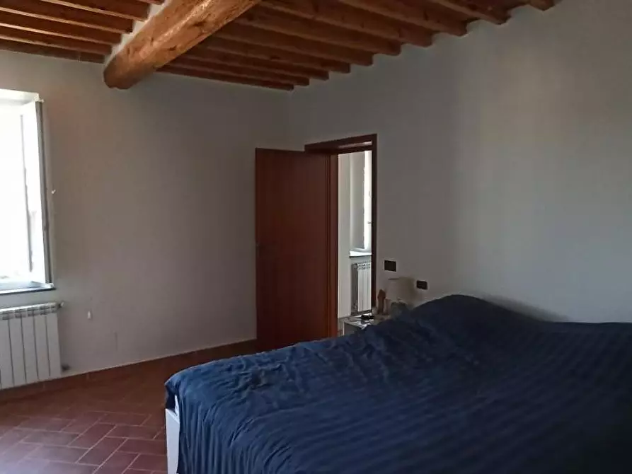Immagine 17 di Terratetto in affitto  a Capannori