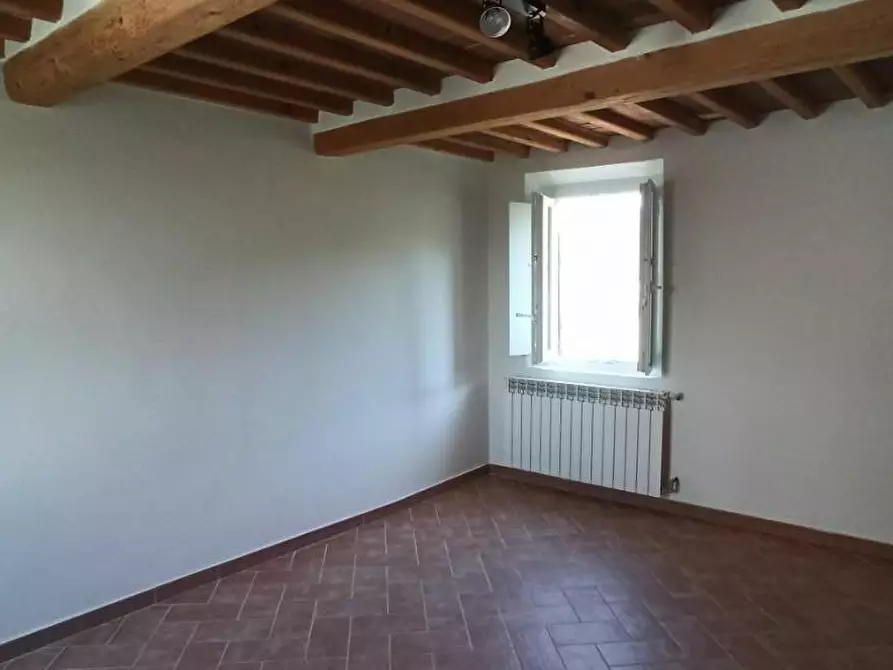 Immagine 21 di Terratetto in affitto  a Capannori