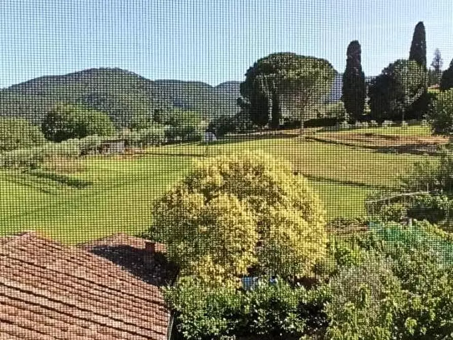 Immagine 20 di Terratetto in affitto  a Capannori