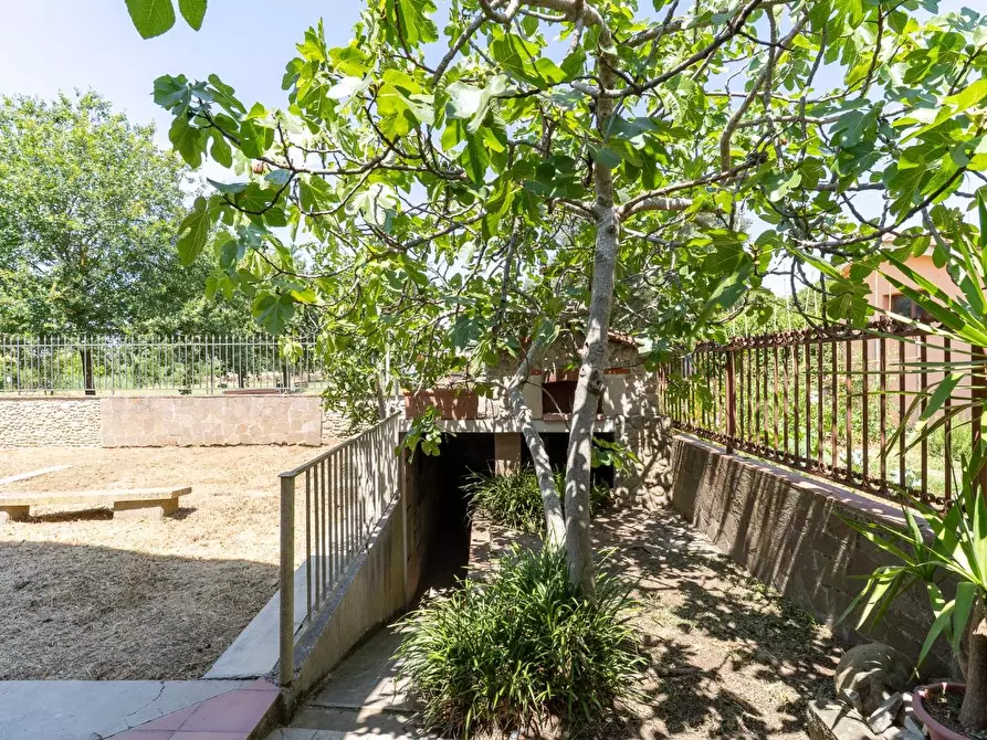 Immagine 19 di Villa in vendita  a Montelupo Fiorentino