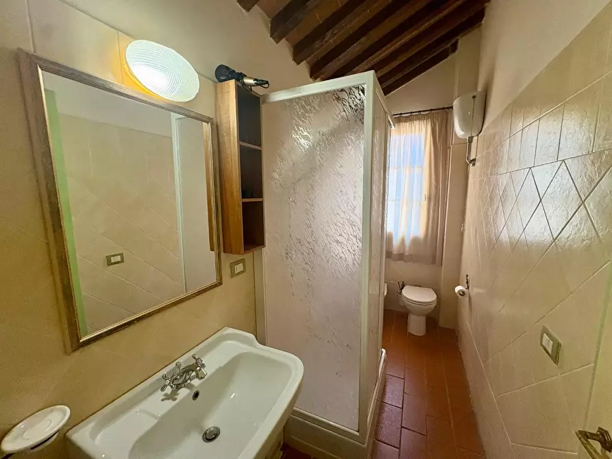 Immagine 11 di Appartamento in vendita  a Campiglia Marittima