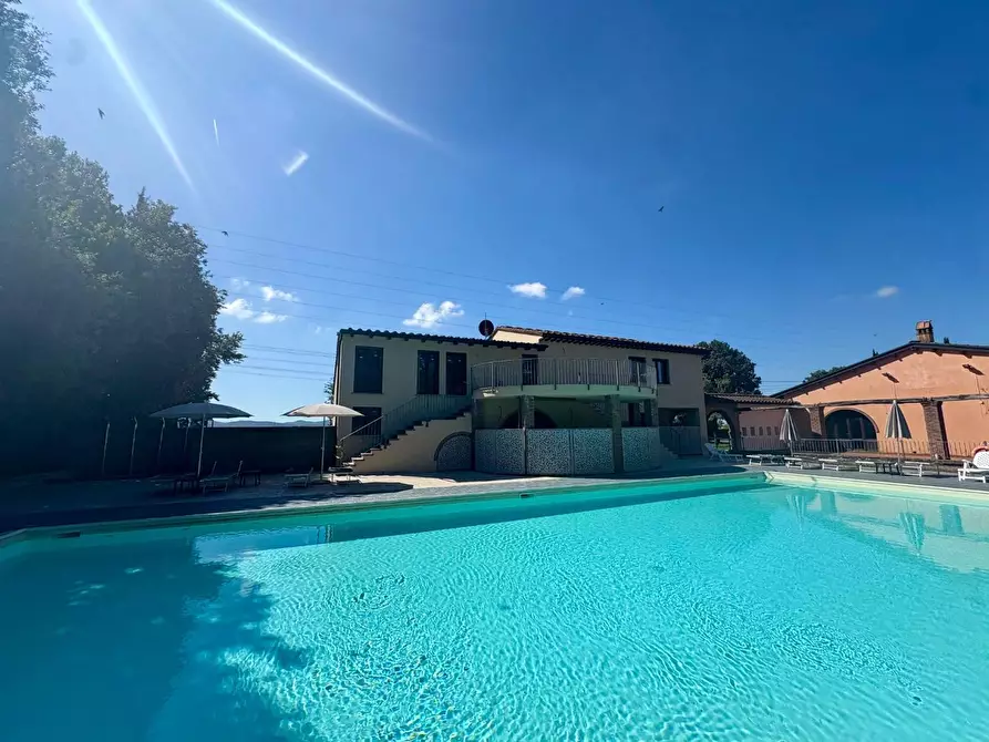 Immagine 7 di Appartamento in vendita  a Campiglia Marittima