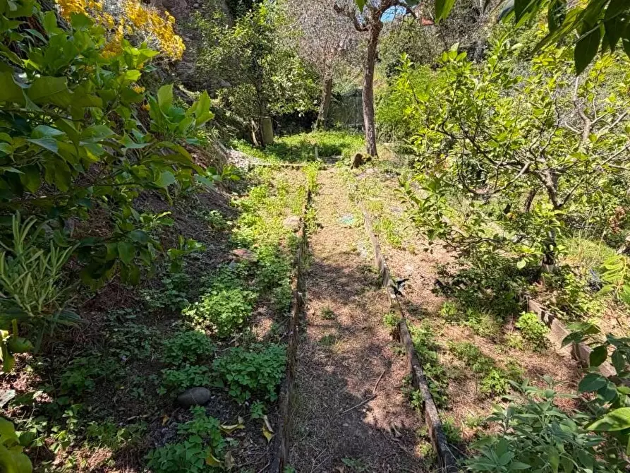 Immagine 27 di Terratetto in vendita  a Ortonovo