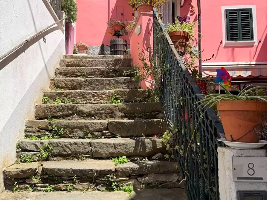Immagine 31 di Terratetto in vendita  a Ortonovo