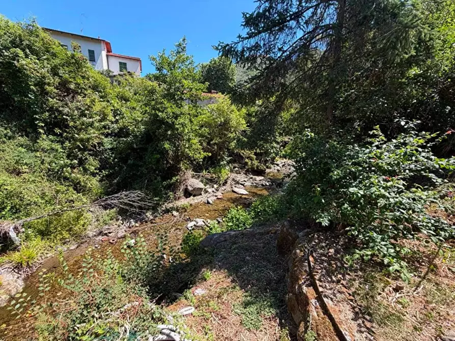 Immagine 26 di Terratetto in vendita  a Ortonovo