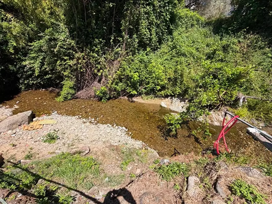 Immagine 29 di Terratetto in vendita  a Ortonovo