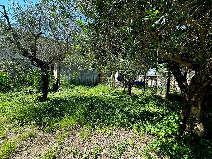 Immagine 28 di Terratetto in vendita  a Lucca