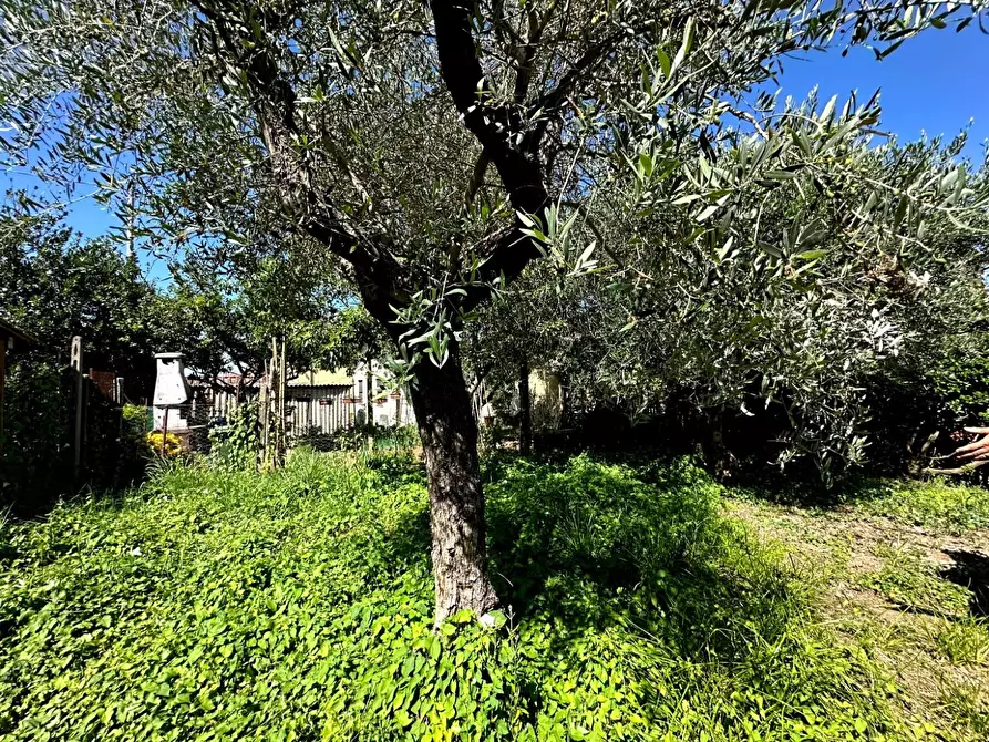 Immagine 27 di Terratetto in vendita  a Lucca