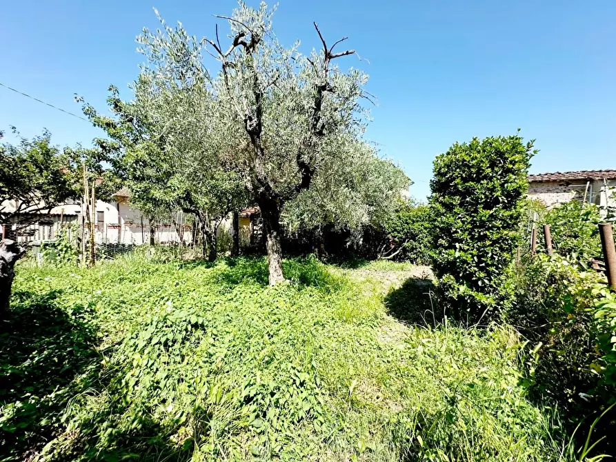 Immagine 26 di Terratetto in vendita  a Lucca