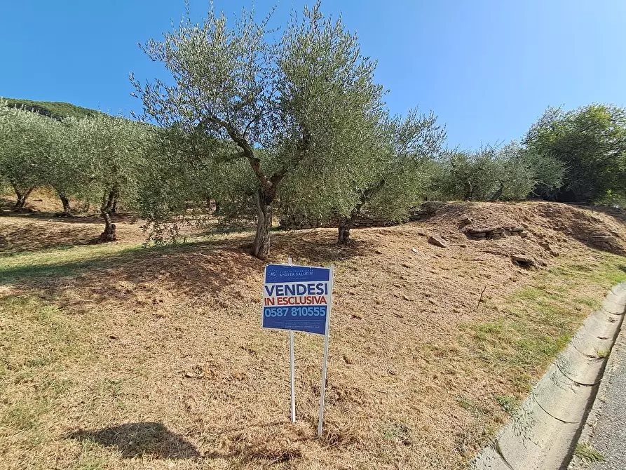 Immagine 3 di Terreno residenziale in vendita  a Buti
