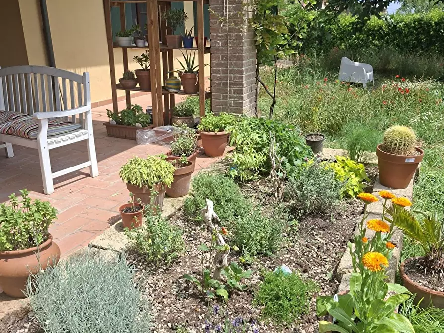 Immagine 4 di Casa indipendente in vendita  a Casciana Terme Lari