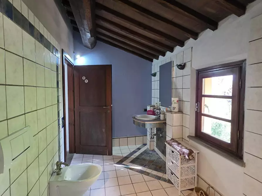 Immagine 34 di Casa indipendente in vendita  a Casciana Terme Lari