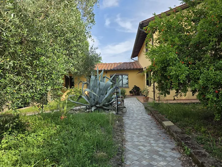 Immagine 2 di Casa indipendente in vendita  a Casciana Terme Lari
