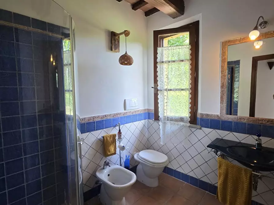 Immagine 27 di Casa indipendente in vendita  a Casciana Terme Lari