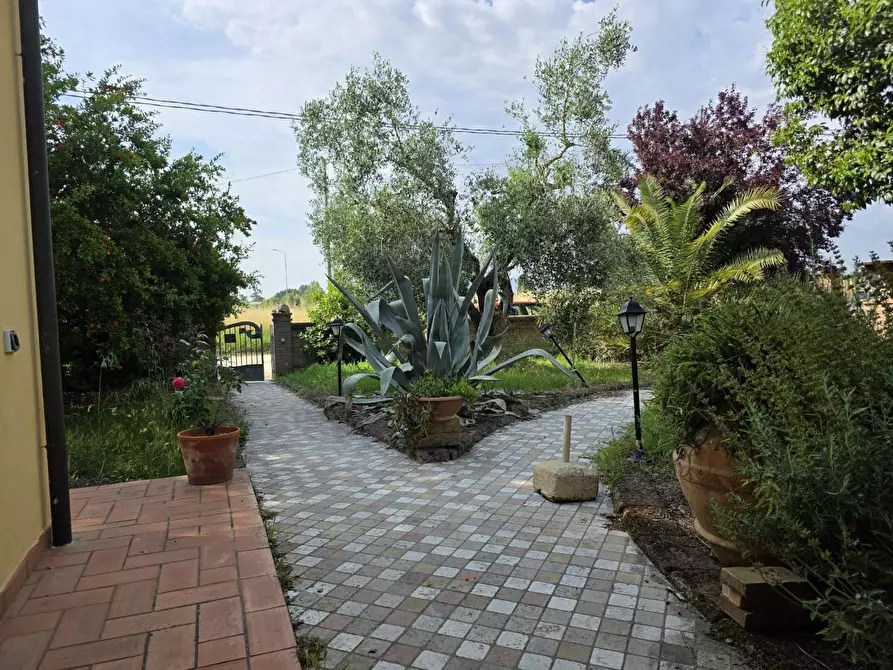 Immagine 39 di Casa indipendente in vendita  a Casciana Terme Lari