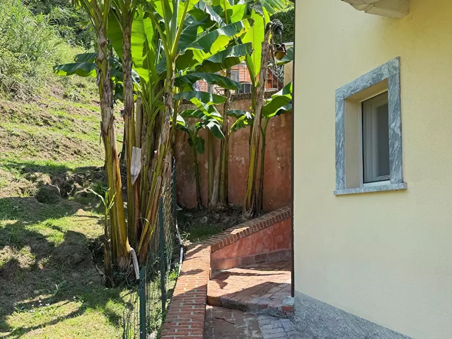 Immagine 5 di Villa in vendita  a Carrara