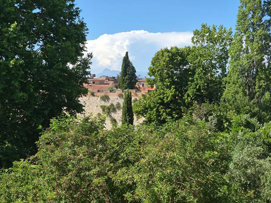 Immagine 12 di Appartamento in affitto  a Pisa