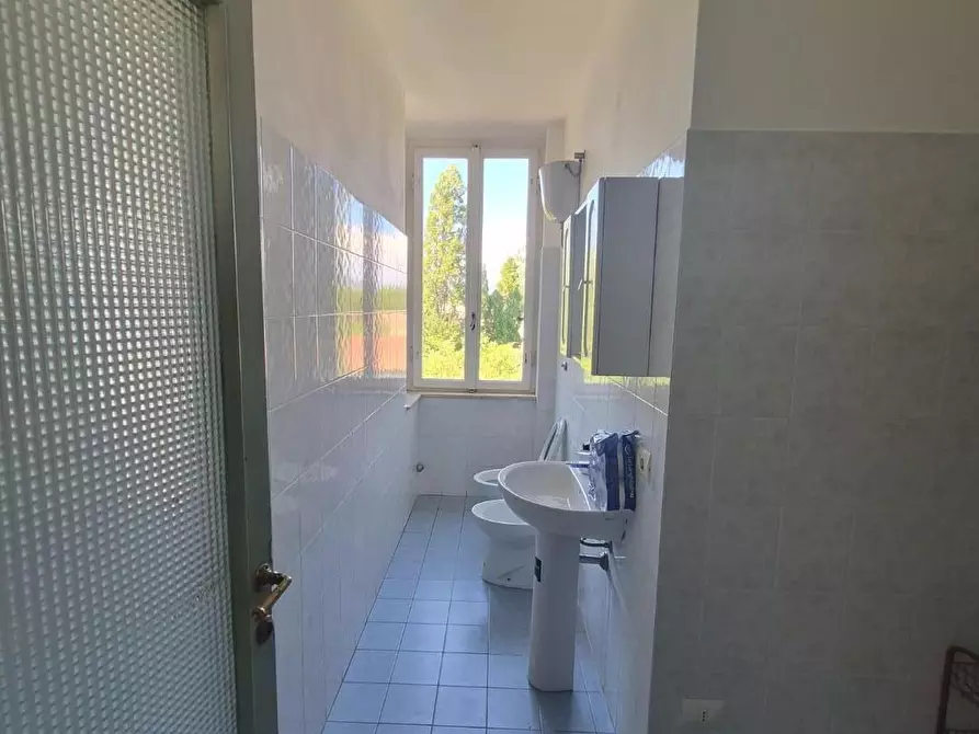 Immagine 5 di Appartamento in affitto  a Pisa