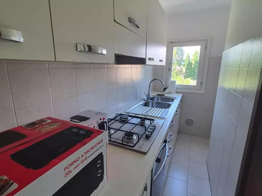 Immagine 8 di Appartamento in affitto  a Pisa