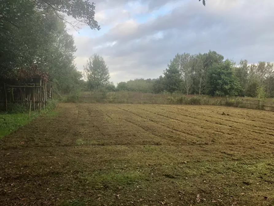 Immagine 11 di Terreno agricolo in vendita  a Capannori