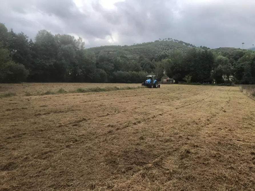 Immagine 13 di Terreno agricolo in vendita  a Capannori