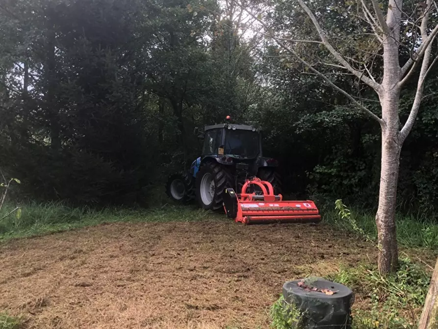 Immagine 12 di Terreno agricolo in vendita  a Capannori