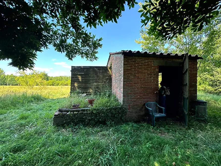 terreno agricolo in vendita a Capannori