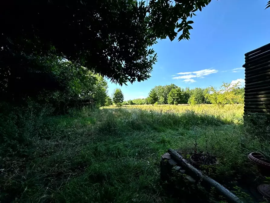 Immagine 8 di Terreno agricolo in vendita  a Capannori