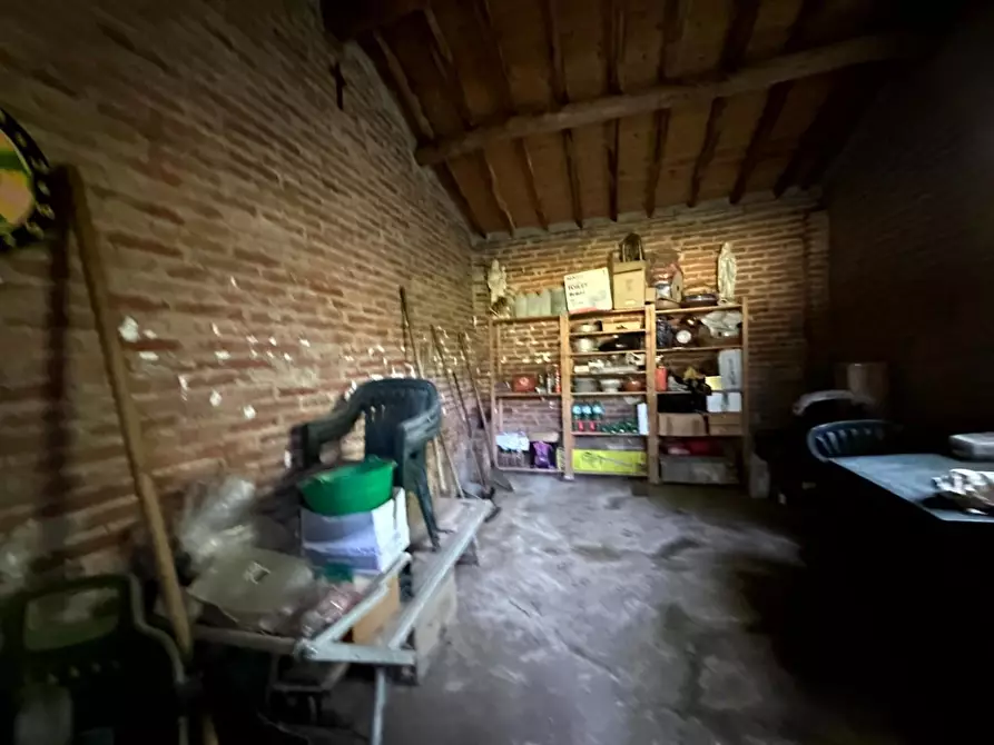 Immagine 7 di Terreno agricolo in vendita  a Capannori