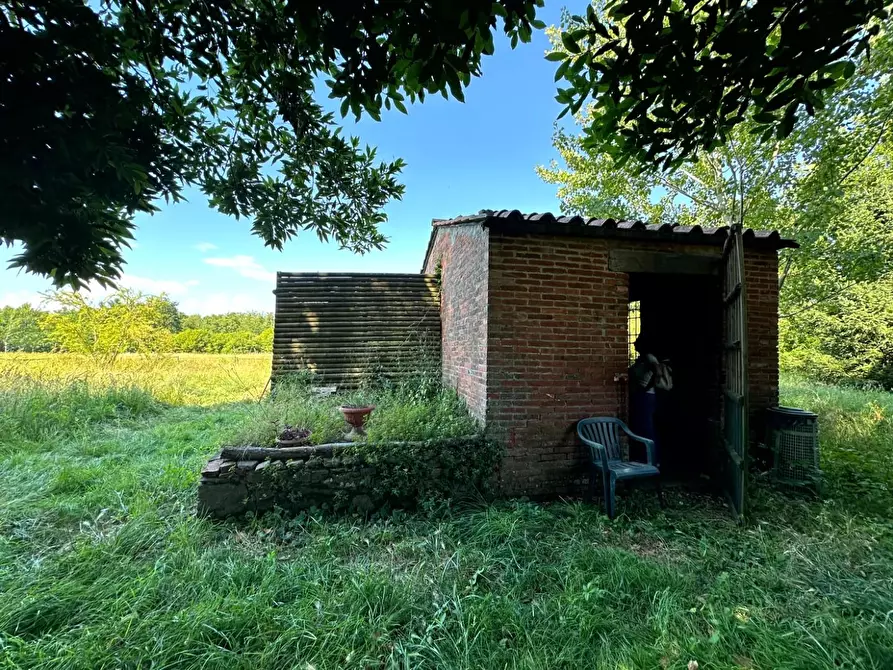 Immagine 6 di Terreno agricolo in vendita  a Capannori