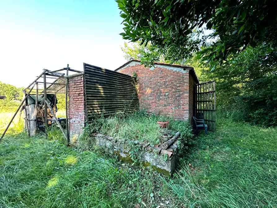 Immagine 4 di Terreno agricolo in vendita  a Capannori