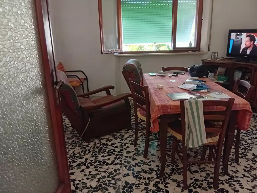 Immagine 4 di Appartamento in vendita  a Pisa