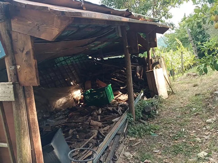 Immagine 14 di Casa semindipendente in vendita  a Ortonovo