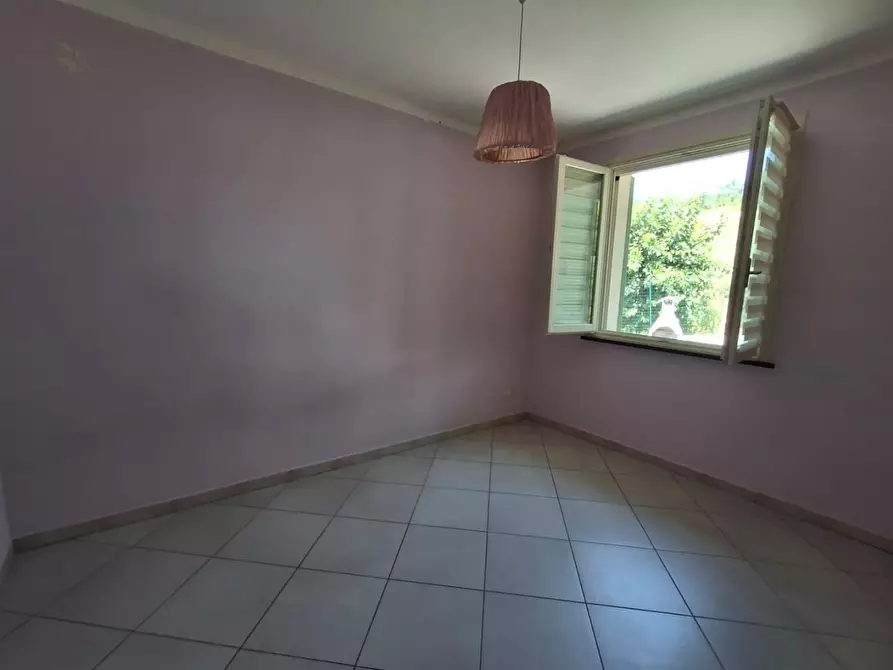 Immagine 15 di Appartamento in affitto  a Capraia E Limite