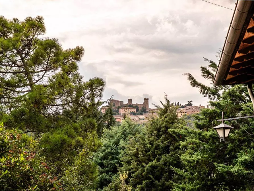 Immagine 18 di Rustico / casale in vendita  a Montalcino