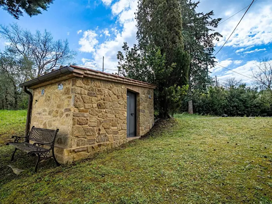 Immagine 9 di Rustico / casale in vendita  a Montalcino