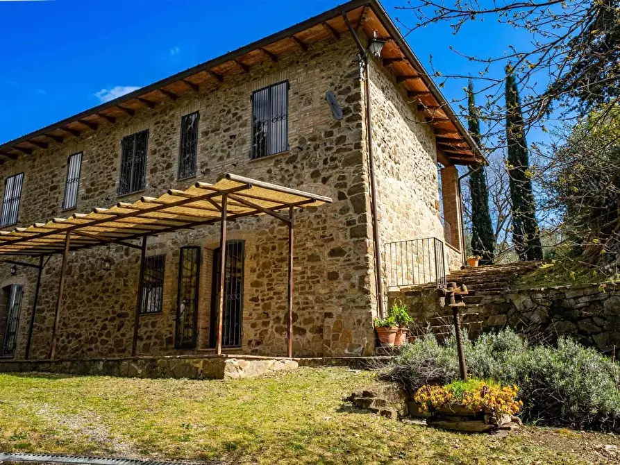Immagine 4 di Rustico / casale in vendita  a Montalcino