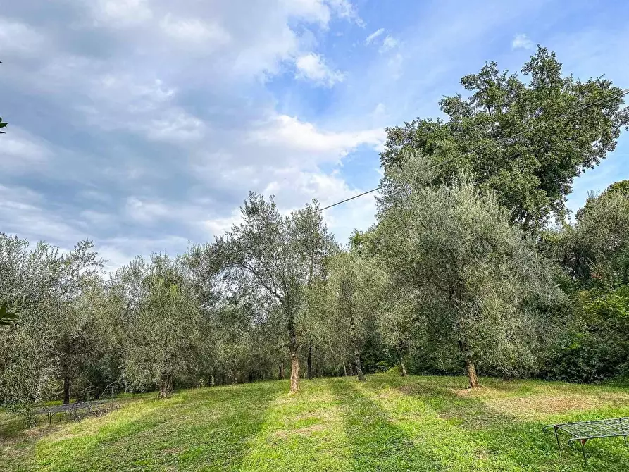Immagine 17 di Rustico / casale in vendita  a Montalcino