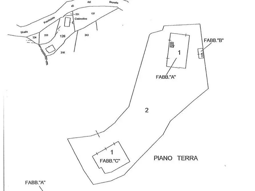 Immagine 56 di Rustico / casale in vendita  a Montalcino
