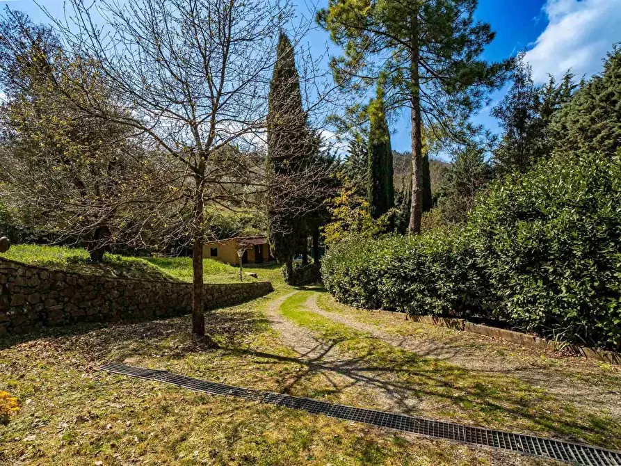 Immagine 11 di Rustico / casale in vendita  a Montalcino