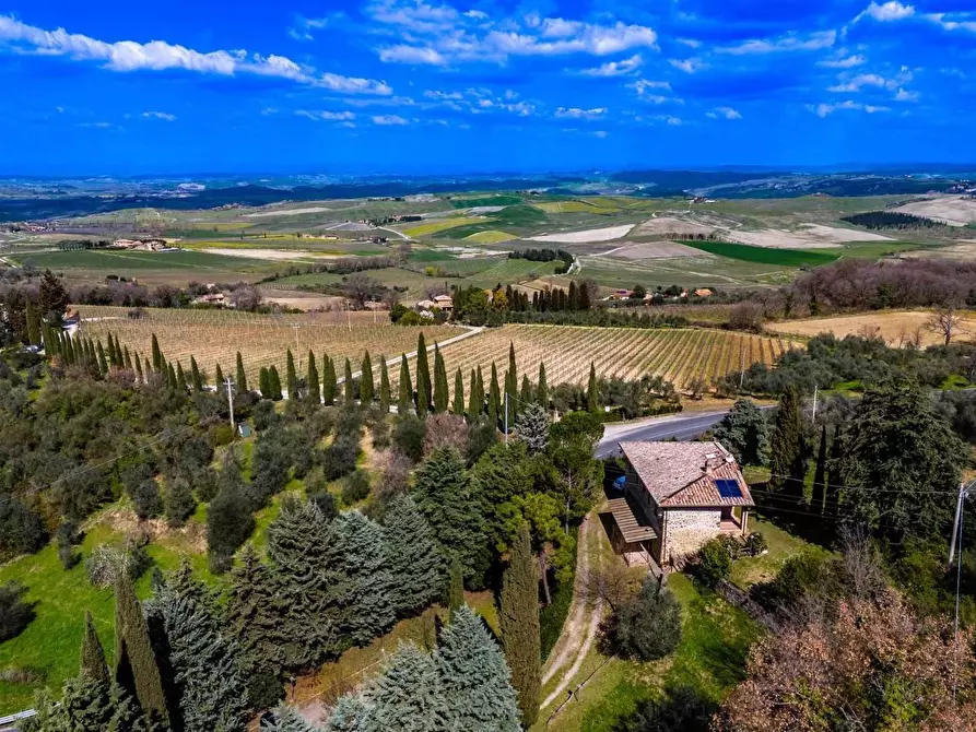 Immagine 13 di Rustico / casale in vendita  a Montalcino