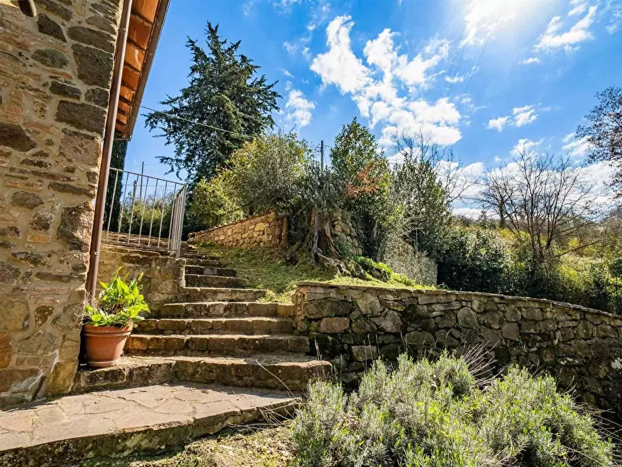 Immagine 7 di Rustico / casale in vendita  a Montalcino