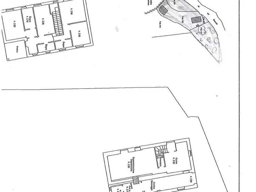 Immagine 55 di Rustico / casale in vendita  a Montalcino