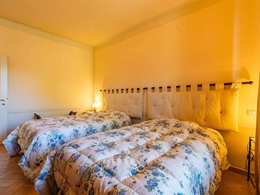 Immagine 39 di Rustico / casale in vendita  a Montalcino