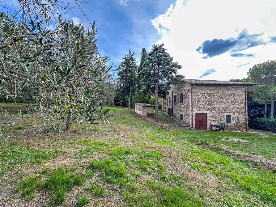 Immagine 15 di Rustico / casale in vendita  a Montalcino
