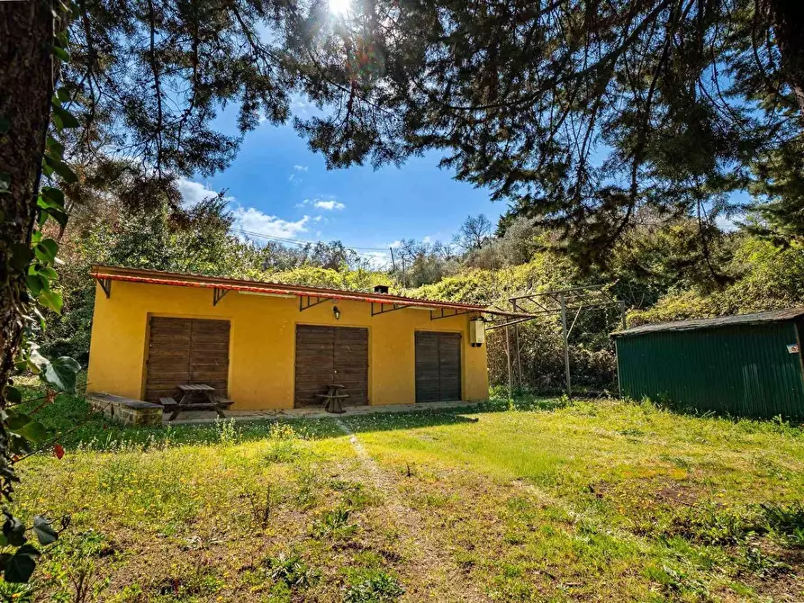 Immagine 12 di Rustico / casale in vendita  a Montalcino