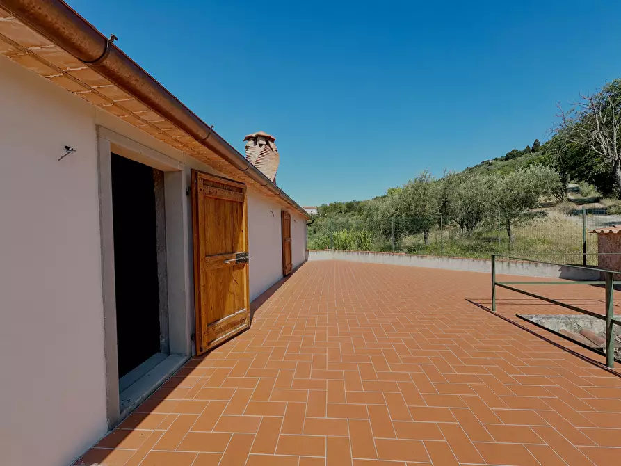 Immagine 6 di Casa colonica in vendita  a Monsummano Terme